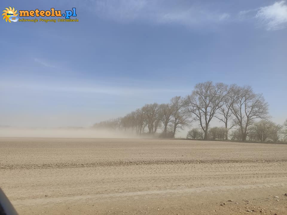 Duże ilości pyłu znad Sahary wędrują nad Polskę. Co to dla nas oznacza ?